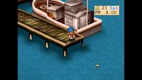 Gambar Harvest Moon: Back To Nature PS4 PS5 - INDO dari CHILL FACTORY GAMING undefined 4 Tokopedia