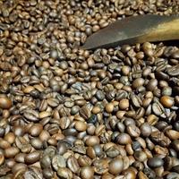 Gambar Kopi Ritek Khas Pacitan Kota 1001 Goa Murni 100% dari FAVESPA PART undefined 2 Tokopedia