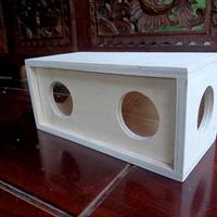Gambar box speaker 2 inch bas radiator 2in bahan 9mm dari Ridwan audio undefined 1 Tokopedia