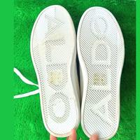 Gambar NEW Original ALDO Pallazi White 38 Sneaker Sepatu Putih dari Marshee ID undefined 3 Tokopedia