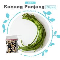 Gambar Benih Sayur Kacang Panjang Vegetable Mudah Tumbuh dari amefurashi undefined 1 Tokopedia