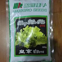 Gambar Sawi Keriting Import dari HIA Store79 undefined 1 Tokopedia