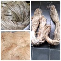 Gambar SERAT ALAM NANAS AGAVE RAMI KENAF ASLI RAMBUT PECUT JARAN KEPANG - KENAF 500GR (0.5KG) dari GERAISURYA undefined 1 Tokopedia