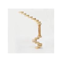 Gambar Truebalance Coordination Game Balance Toy Adults And Kids Improves dari Batosai Store333 undefined 3 Tokopedia