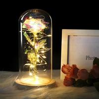 Gambar Lampu Hias Bunga Mawar LED Hadiah Valentine Ulang Tahun GRATIS BUBBLE dari SOLUSI HOME DECOR undefined 1 Tokopedia