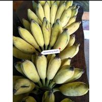 Gambar Pisang awak dari Bakul Patani undefined 4 Tokopedia