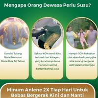 Gambar AisyahHerbalSkincare//Anlene Gold 5x Susu Bubuk Vanilla 240 gr dari Aisyah Herbal Skincare undefined 3 Tokopedia