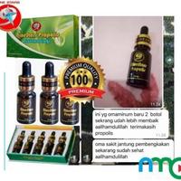 Gambar NINE STARS - 1 BOTOL STARS PROPOLIS BIOTEKNOLOGI - STARS BIOTEKNOLOGI dari Jakarata Shop undefined 1 Tokopedia