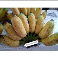 Gambar Pisang awak dari Bakul Patani undefined 1 Tokopedia