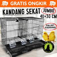 Gambar Sangkar Kandang Umbaran Sekat Size 61x29x39 Kandang Ternak Burung - Merah dari ALAM PUTERA undefined 1 Tokopedia