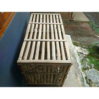 Gambar Kandang Ayam Bambu Lipat Segi Empat Rakitan Pintu 2 - NaturL, 100x50x50cm dari ALAM PUTERA undefined 2 Tokopedia