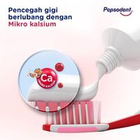 Gambar PEPSODENT Pasta gigi Berlubang 225 Gram Isi 2 dari Ananta coffee undefined 4 Tokopedia