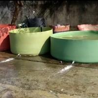 Gambar kolam bulat tanpa rangka D2 T70CM dari Samudera Kolam undefined 1 Tokopedia