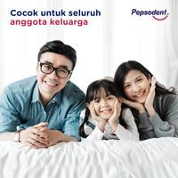 Gambar PEPSODENT Pasta gigi Berlubang 225 Gram Isi 2 dari Ananta coffee undefined 5 Tokopedia