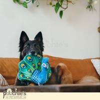 Gambar Mainan anjing Pet Play - Fetching Flock - Peacock dari Poochies Supplies undefined 3 Tokopedia
