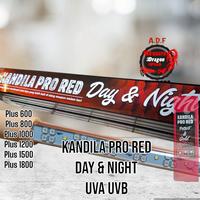 Gambar Lampu Kandila Pro Day and night/Lampu Aquarium Kandila UVA UVB - PACK STD, 400-29cm dari Akusara Dragon Depok undefined 1 Tokopedia