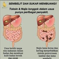Gambar Myviber Minuman Serbuk Rasa Kiwi dari distributor_mci_jakarta undefined 4 Tokopedia
