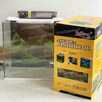 Gambar Haiyang Fish Aquarium Set Q-30 - Akuarium Ikan Set Komplit 16liter dari Hellopaws.id undefined 3 Tokopedia