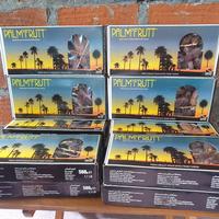 Gambar kurma palm fruit 12 box 1 dus khusus gojek grab instan dari Es Buah67 undefined 1 Tokopedia