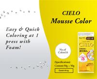 Gambar Ori Japan Cielo Hoyu Color Mousse  Pewarna Rambut Jepang Tutup Uban - 2PK dari Ariga toko undefined 4 Tokopedia