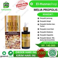 Gambar Melia Propolis 55ml Original 100% Asli Sehat Sejahtera dari El Husna Shop undefined 1 Tokopedia