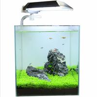 Gambar Bibit Rumput Air Dekorasi Aquarium Landscape Ornament - H0027 dari Bhemo store undefined 5 Tokopedia