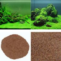 Gambar Bibit Rumput Air Dekorasi Aquarium Landscape Ornament - H0027 dari Bhemo store undefined 1 Tokopedia