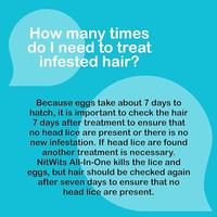 Gambar NitWits All In One Head Lice Solution - 120 ml Obat kutu & sisir Paket dari VitaminOz undefined 5 Tokopedia