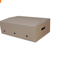 Gambar box buah mangga isi 24 kardus parcel packing mangga size 53x35x16cm dari Sarana Pack.Id undefined 1 Tokopedia