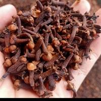 Gambar cengkeh premium 1000 gram,clove whole cengkeh kering fresh.varian - 50 gram dari najabmart undefined 4 Tokopedia