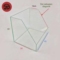 Gambar paludarium 40x30x30 dari BROTHERLAND WORKSHOP undefined 1 Tokopedia