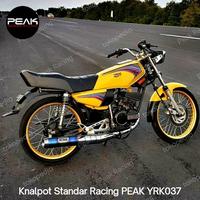 Gambar Knalpot Racing Peak Standar Racing Chrome Cacing HB For Rx King - Tanpa Bubble wrap  dari PeakRacing undefined 1 Tokopedia