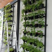 Gambar Rak tanaman dari 0ksigen plants undefined 2 Tokopedia