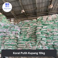 Gambar Batu Koral Kupang Putih Tabur berat 10kg - Kp 1 dari Grosir Batu Alam RP undefined 3 Tokopedia