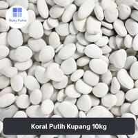 Gambar Batu Koral Kupang Putih Tabur berat 10kg - Kp 1 dari Grosir Batu Alam RP undefined 1 Tokopedia