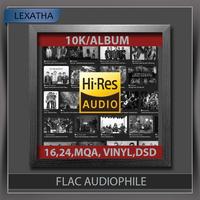 Gambar FLAC 24bit Hi-Res Audiophile - 50 JAZZ BAND/ARTIST DSD MQA VINYL dari Lexatha 3 undefined 1 Tokopedia