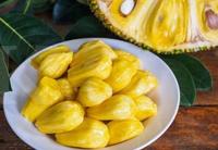 Gambar Buah Nangka Kupas Segar 500 gr dari FDG BGR undefined 2 Tokopedia