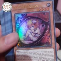 Gambar structure deck beware of traptrix TCG unsealed lengkap dari A, M. Y. shop undefined 1 Tokopedia