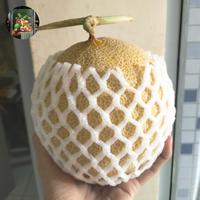 Gambar melon  madu buah dari Toko buah Riansyah undefined 2 Tokopedia