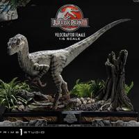 Gambar Prime 1 Studio Female Velociraptor (Jurassic Park) dari hobbies toyz undefined 1 Tokopedia