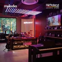 Gambar Boss ES-5 Effects Switching System dari Melodia Musik Online undefined 4 Tokopedia