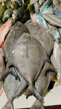 Gambar ikan bawal laut - Bawal Hitam, Utuh 1 kg dari Hasil laut pasar serpong undefined 1 Tokopedia