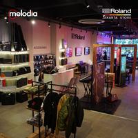 Gambar Roland FP-10 Digital Piano 88-key with Speaker and Bluetooth dari Melodia Musik Online undefined 5 Tokopedia
