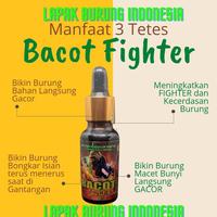 Gambar BACOT FIGHTER VITAMIN BURUNG BIAR GACOR DAN FIGHTER LOMBA UNTUK MURAI dari Ooneand undefined 5 Tokopedia