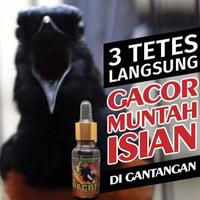 Gambar BACOT FIGHTER VITAMIN BURUNG BIAR GACOR DAN FIGHTER LOMBA UNTUK MURAI dari Ooneand undefined 1 Tokopedia