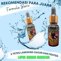 Gambar BACOT FIGHTER VITAMIN BURUNG BIAR GACOR DAN FIGHTER LOMBA UNTUK MURAI dari Ooneand undefined 4 Tokopedia