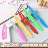 Gambar PISAU BUAH PISAU DAPUR PISAU MINI PISAU SARUNG PISAU LIPAT - Pisau Sarung dari Victory Sagala undefined 2 Tokopedia