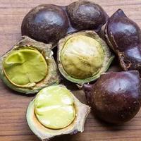 Gambar JENGKOL MENTAH TUA MUDA/JENGKI/JENGKOL SAYUR/JENGKOL TUA/JARIANG dari storehaikal05 undefined 1 Tokopedia