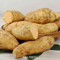 Gambar ubi madu - 225 gram dari ARA Fresh undefined 1 Tokopedia