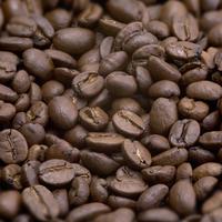 Gambar Ami Bonjour - Romar - Biji Kopi Espresso Roast Coffee Bean - Kopi Arabica Gayo - Kopi Big Berry - 200GR - 200 Gram, Biji Utuh dari Ami Bonjour Coffee undefined 4 Tokopedia
